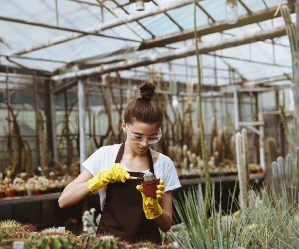 Plants for Texas Retailer -Concentrated young woman standing in greenhouse near plants